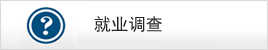 就业调查